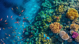 Fototapeta Las - Aerial view of coral reef and fishes