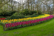 Jardin botanique aux tulipes de Keukenhof , à Lisse aux Pays-Bas	