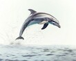 A dolphin leaps gracefully out of the water in a dazzling display of agility and beauty.