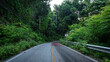 Asphalt rural road on mountain tropical forest