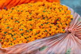 Fototapeta Dmuchawce - Marigold flower buds at market