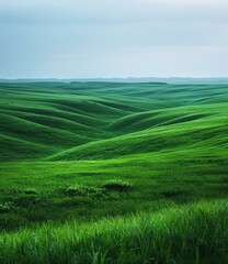 Wall Mural - Green rolling hills of a rural landscape