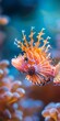 A red and white striped lionfish with spiky fins