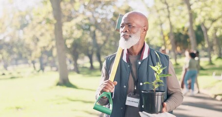 Canvas Print - Mature, man and volunteer with plants in park for earth day, community service or sustainable ngo project. African, person or walking in nature with spade for gardening, eco friendly hobby or ecology