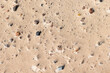 Coarse wet sand on the shore of the Baltic Sea, top view