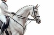 © Lucija - majestic dressage rider on white horse equestrian sport portrait isolated on white athletic elegance concept
