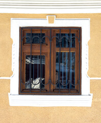 Wall Mural - Metal grill on a wooden window