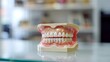Detailed Model of Denture Showcasing Dental Anatomy and Dental Healthcare Concepts