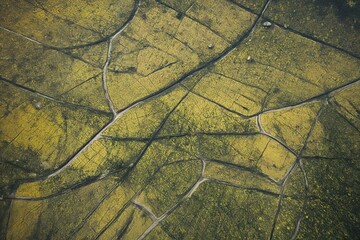 Canvas Print - texture of the stone