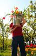 girl with a bucket full of tulip flowers blooming in spring just picked from the flowerbeds