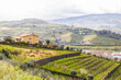 View of the Douro valley with the vineyards of the terraced fields and houses, Portugal