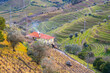 View of the Douro valley with the vineyards of the terraced fields and houses, Portugal