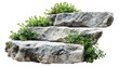 © MUCHIB - Cut out stairs made of large stone steps. Staircase lined with green plants for landscaping