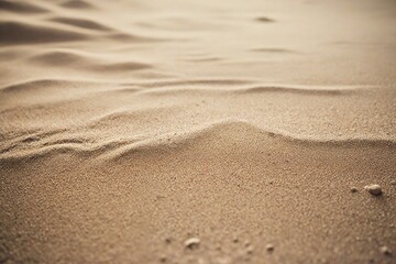 footprint in the sand