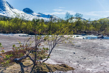 Wall Mural -  northern norway:nature sceneries on the road from Fauske to Narvik