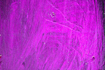 Wall Mural - The bark of the tree is painted purple. Abstract background. The texture.