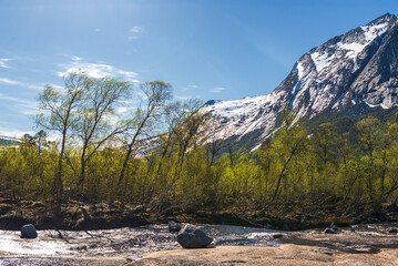 Wall Mural -  northern norway:nature sceneries on the road from Fauske to Narvik