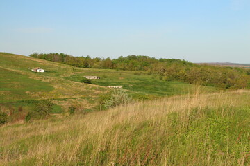 Wall Mural - A grassy field with a house in the distance