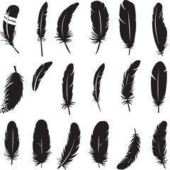 Canvas Print - set of feathers