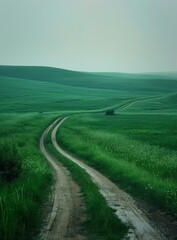 Poster - Countryside dirt road through a lush green field