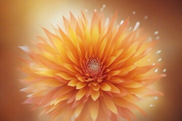 Poster - orange flower background