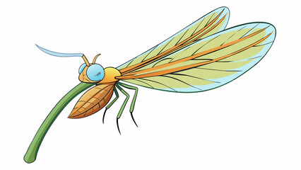 Poster - A thin elongated insect with a thin curved body and a long needlelike proboscis. Its wings are almost transparent allowing it to blend in with its. Cartoon Vector