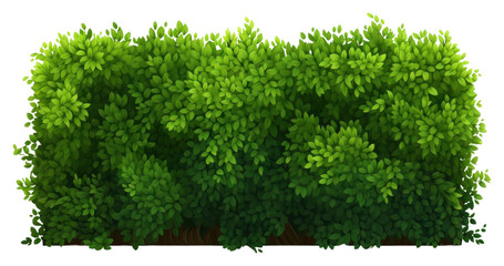 Wall Mural - PNG Bush plant hedge white background.