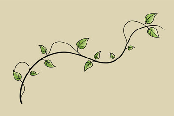 Illustration of a simple, elegant vine with green leaves on a pale green background.
