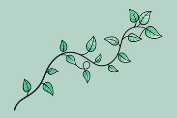 Wall Mural - Illustration of a simple, elegant vine with green leaves on a pale green background.