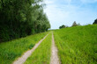 Path through a meadow and forest, nature in spring, environment and ecology concept, recreational area in Germany