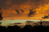 Fototapeta Tęcza - Dark silhouettes of trees and orange sky at sunset.