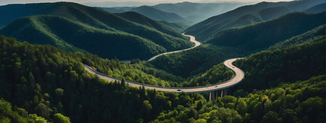 Wall Mural - Aerial panorama, snaking roadway amidst sprawling dark green mountain forest