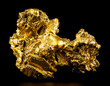 Pure gold from the mine on black background. Closeup of gold nugget. Finance and business concept.
