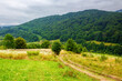 carpathian countryside of ukraine on a cloudy summer day. trees on the abandoned rural fields in mountains. counrty dirt road winding down the hill