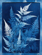 Blue cyanotype herbal background.