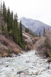Mountain river of Ala-Archa gorge in spring's day in National Park. Kyrgyzstan, Tian-Shan.