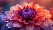 Dramatic and Intense Mood of Chrysanthemum Close-Up: Warm and Cool Tones