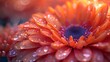Chrysanthemum Close-Up with Hypnotic Spiral Pattern