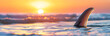 Beach surfboard fin web banner. Surfboard fin isolated against a stunning sunset background.