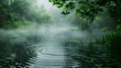 Rainy day at a wetland with raindrops creating ripples on the water surface, surrounded by dense fog and lush greenery
