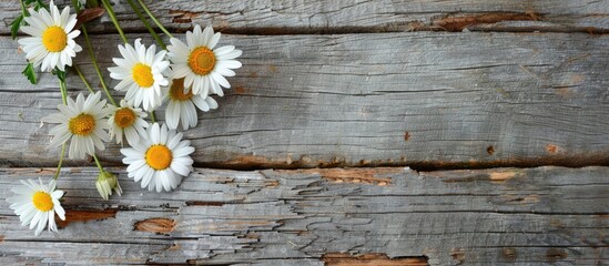 Sticker - Daisies placed on a weathered wooden surface.