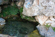 © KTK Creatives - 岩陰にたまる自然にできた小さな池