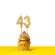 Birthday candle number 43 - Cupcake on white background