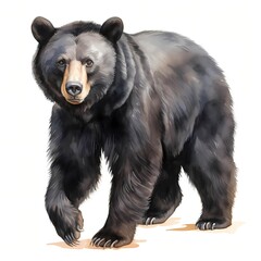 black bear. bear in forest clipart. watercolor illustration. generative ai. detailed illustration.