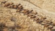 Aerial View of Elk Herd Running. animals. Illustrations