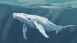 White Humpback Whale. animals. Illustrations