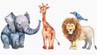 Funny elephant, lion, rhinoceros and bird; watercolor hand drawn illustration; with white isolated background. animals. Illustrations