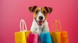 Joyful dog with colorful shopping bags on pink background