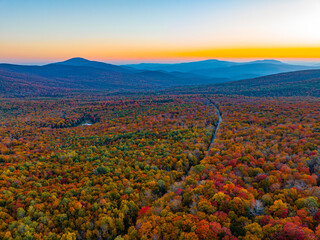 Wall Mural - landscape of autumn mountain forest and mountain range in mist