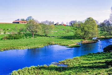 Wall Mural - Cultural landscape with a stream in a rural landscape in spring